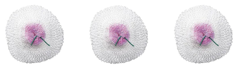 Load image into Gallery viewer, Primus Primus Easy Light Double-tie Mantles 3x - Small Lanterns-
