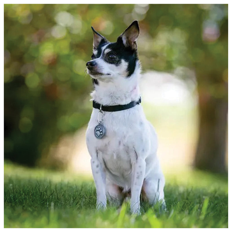 Load image into Gallery viewer, NITE-IZE-Carabiner-Keychain-Lanyard-CBKL0949
