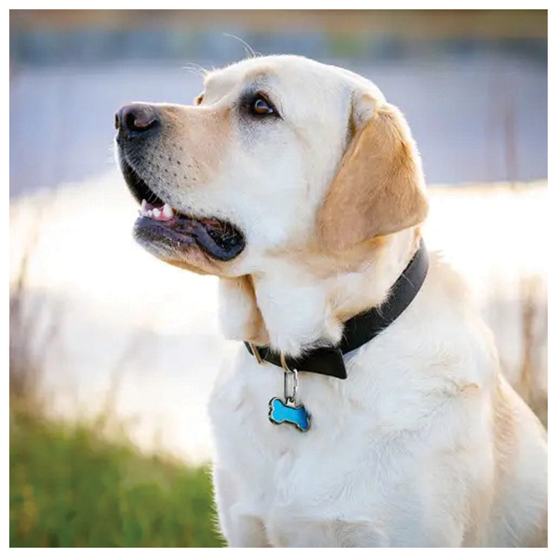 Load image into Gallery viewer, Nite Ize Microlink Pet Tag Biner-2 Pack: Secure Your Pet's ID with Ease
