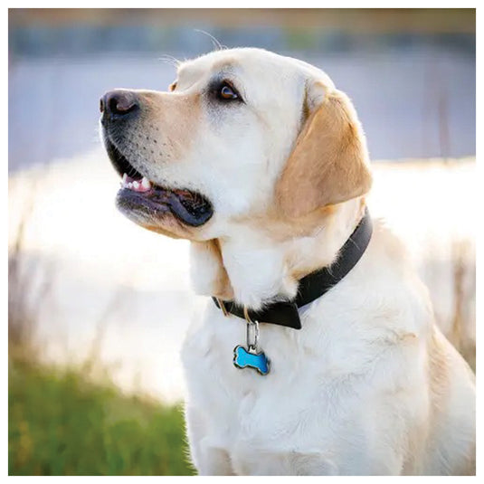 Nite Ize Microlink Pet Tag Biner-2 Pack: Secure Your Pet's ID with Ease