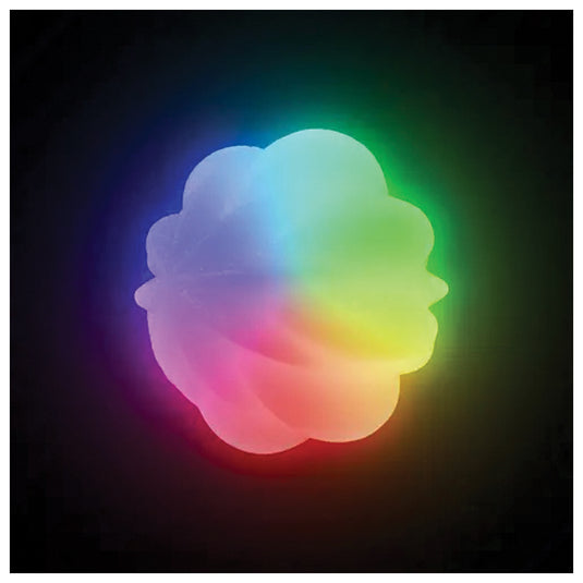 Nite Ize Glowstreak Wild Ball-Disc-O: Light-Up Fun for Pets and People!