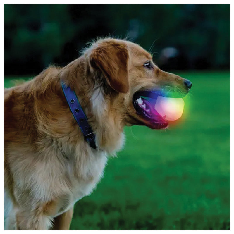 Load image into Gallery viewer, Nite Ize Glowstreak Wild Ball-Disc-O: Light-Up Fun for Pets and People!
