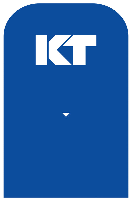 KT Tape Pro 20 Strip 10