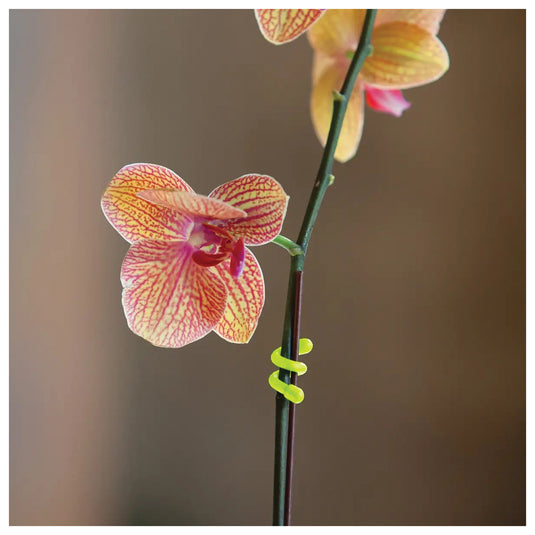 Nite Ize Gear Tie 18" Neon Yellow 2-Pack Strap Set - Organize and Secure Your Gear!