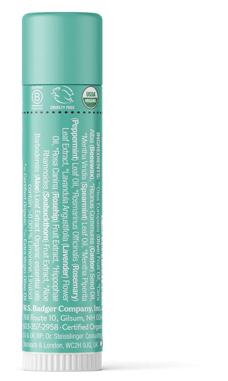 Load image into Gallery viewer, Badger Badger Mint Organic Lip Balm - Soothe and Hydrate Your Lips Naturally!

