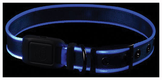Nite Ize NiteDog RC LED Collar - Large Blue