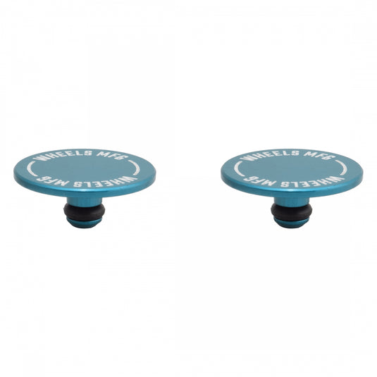 Wheels-Manufacturing-Axle-Caps-Other-Hub-Part-OHPT0453-Bicycle-Hub-Parts