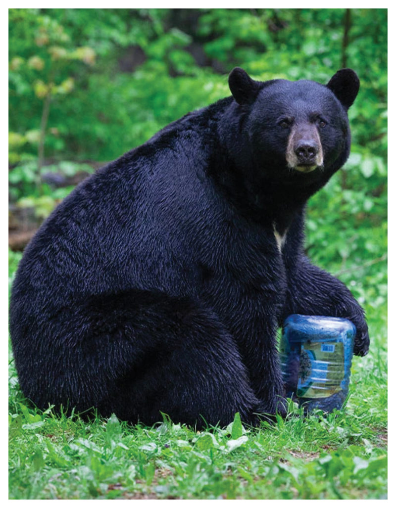 Load image into Gallery viewer, BEARVAULT-Travel-Shipping-Cases-TSCS0499-Bicycle-Travel-Shipping-Cases
