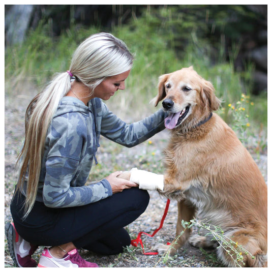 PetMedic MedPack: Essential First Aid Kit for Pets