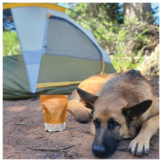 PetMedic MedPack: Essential First Aid Kit for Pets