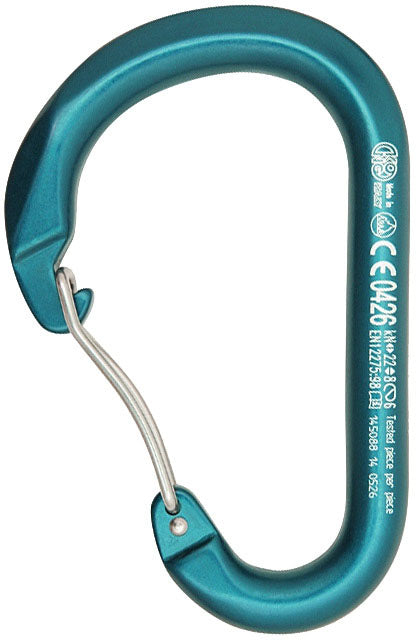 Load image into Gallery viewer, KONG-Carabiner-Keychain-Lanyard-CBKL1424
