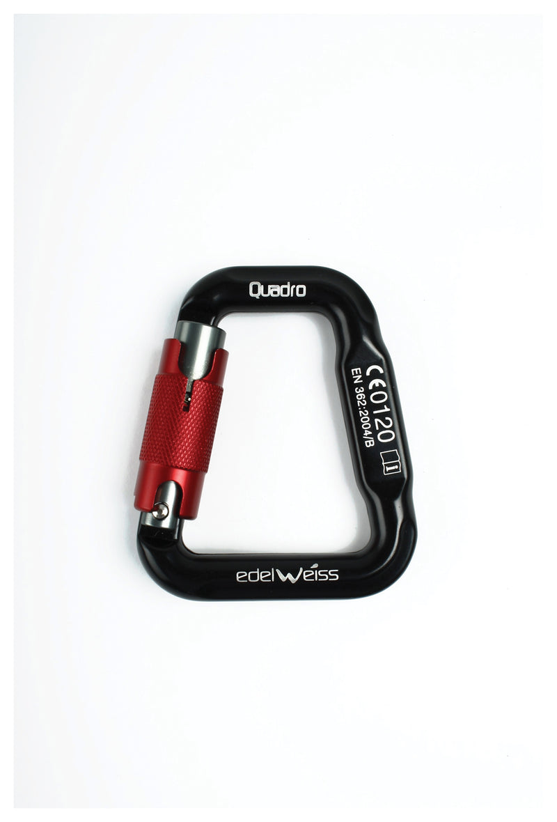 Load image into Gallery viewer, EDELWEISS-Carabiner-Keychain-Lanyard-CBKL2681
