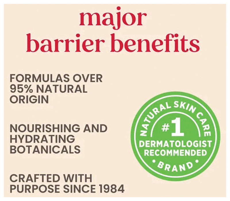 Load image into Gallery viewer, Burt's Bees Lip Balm Coconut P Tube .34oz
