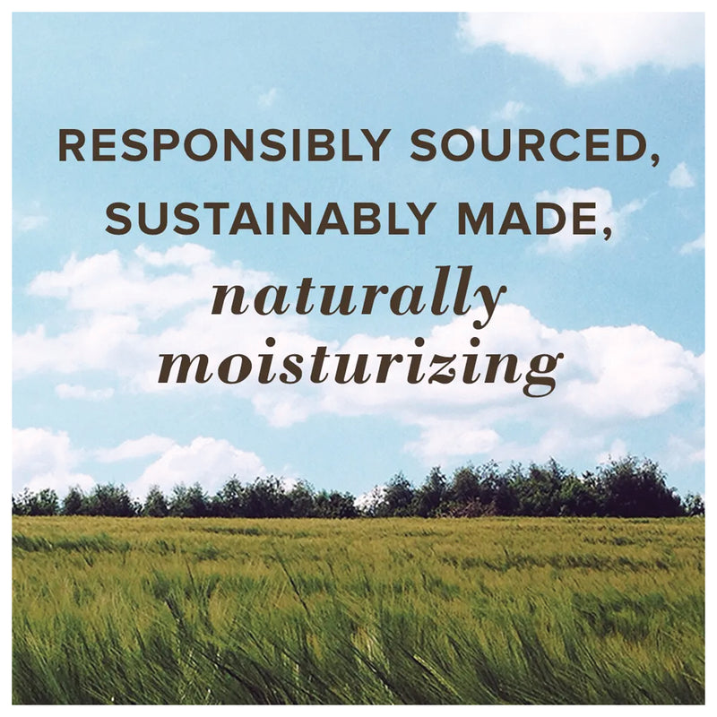 Load image into Gallery viewer, BURT'S-BEES-Lip-Balm-LPBM0171
