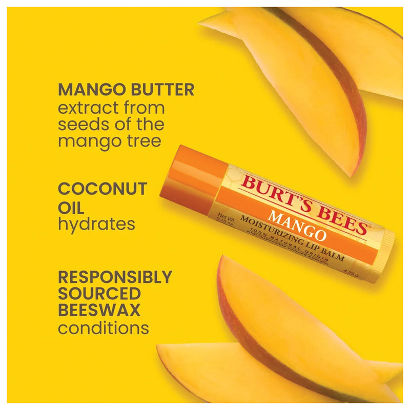 Load image into Gallery viewer, Burt's Bees Lip Balm Super Fruit Blast 4-Pack - Nourishing Lip Care Set

