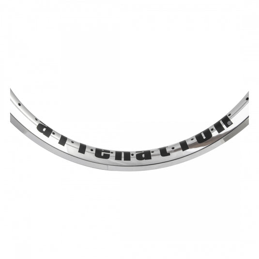 Alienation Vandal 20in BMX Bike Rims - Lightweight G69 Aluminum, Tubeless Ready, Polished Silver (Pair)