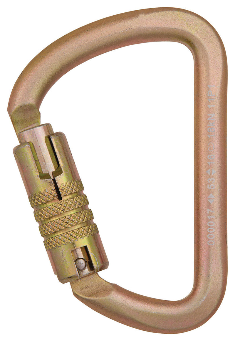 Load image into Gallery viewer, CYPHER-Carabiner-Keychain-Lanyard-CBKL1606
