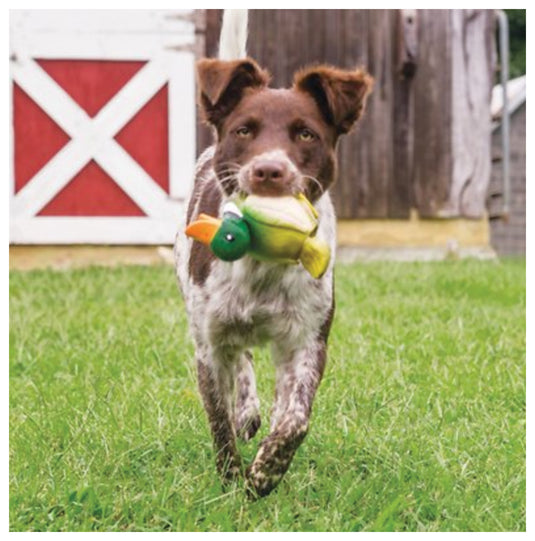 Sportsmen Latex Meeze Duck: The Ultimate Hunting Companion