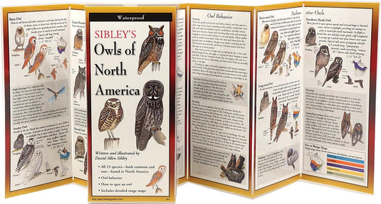 Explore the World of Birds with the Random House Sibley Guide to Birds, 2nd Edition by David Sibley - Your Ultimate Bird Watching Companion!