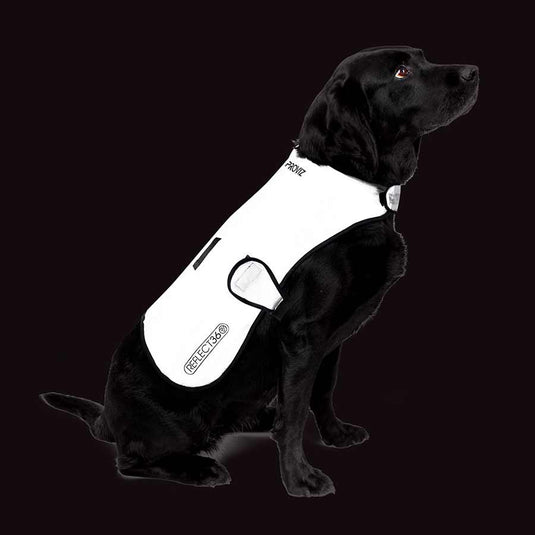 Proviz Dog Cover Silver M