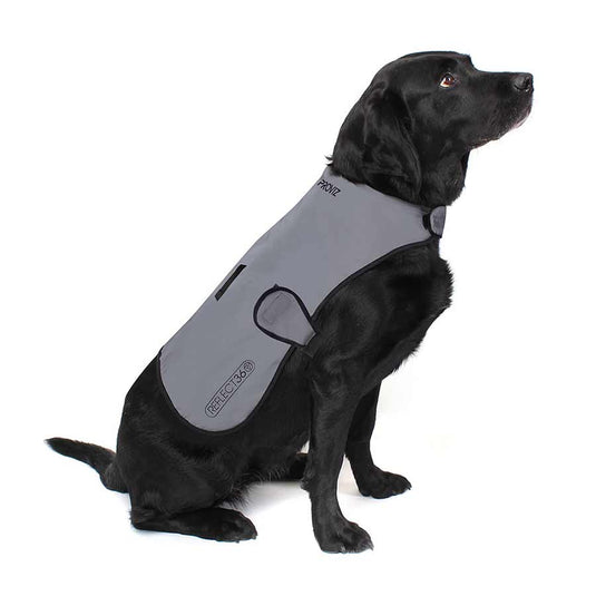 Proviz Dog Cover Silver L