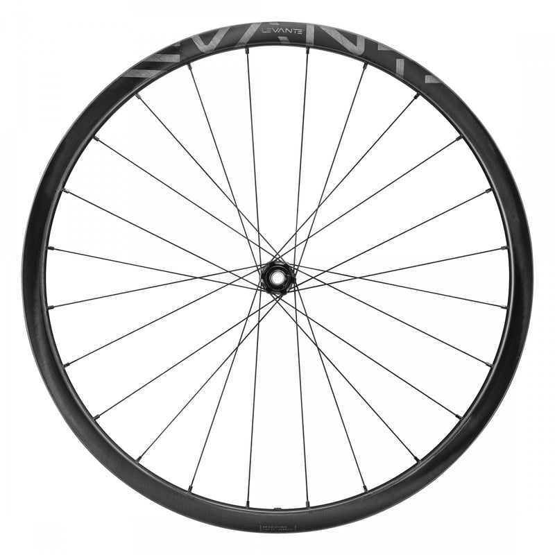 Load image into Gallery viewer, Campagnolo Levante 700c SET 12x100-142mm HG11 Center Lock Disc TCS 24H Carbon
