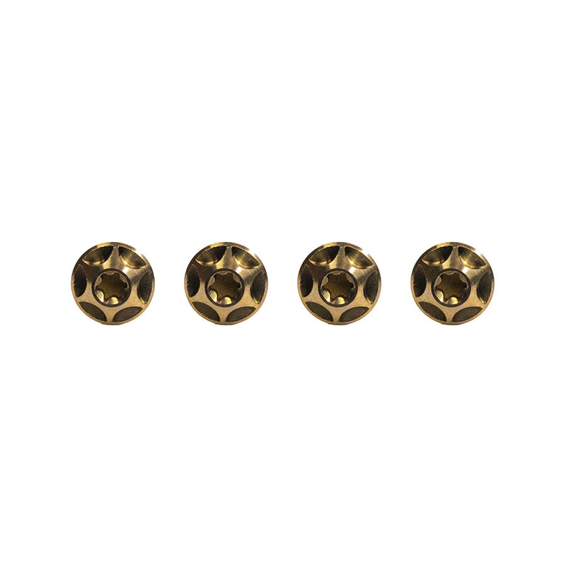 Load image into Gallery viewer, Silca Sicuro Ti bottle cage bolts, Set, Bourbon Anodized, Set of 4
