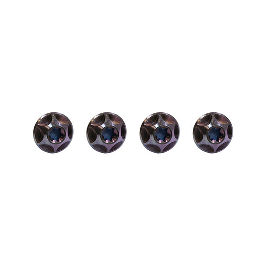 Silca Sicuro Ti bottle cage bolts, Set, Purple Anodized, Set of 4