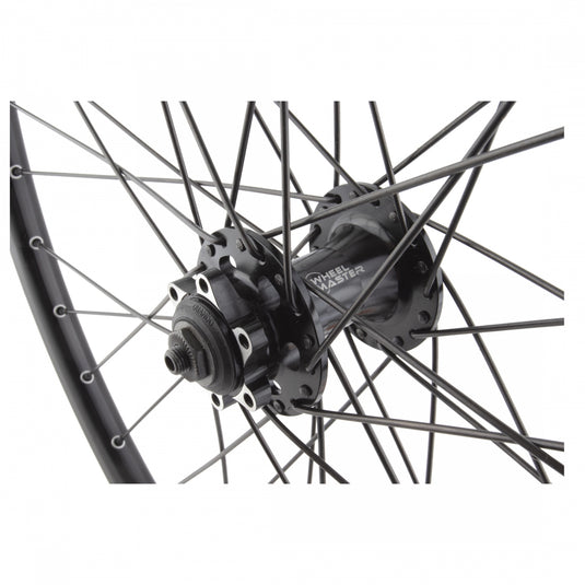 Wheel Master 26in Alloy Mountain Disc Double Wall 26in FT Alex DP20 6B