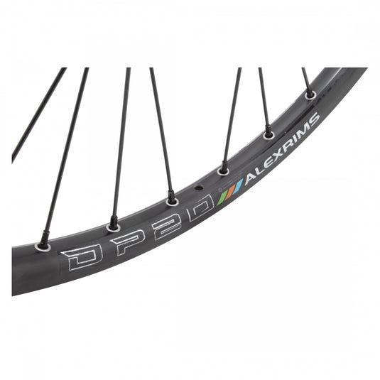 Wheel Master 26in Alloy Mountain Disc Double Wall 26in RR Alex DP20 6B
