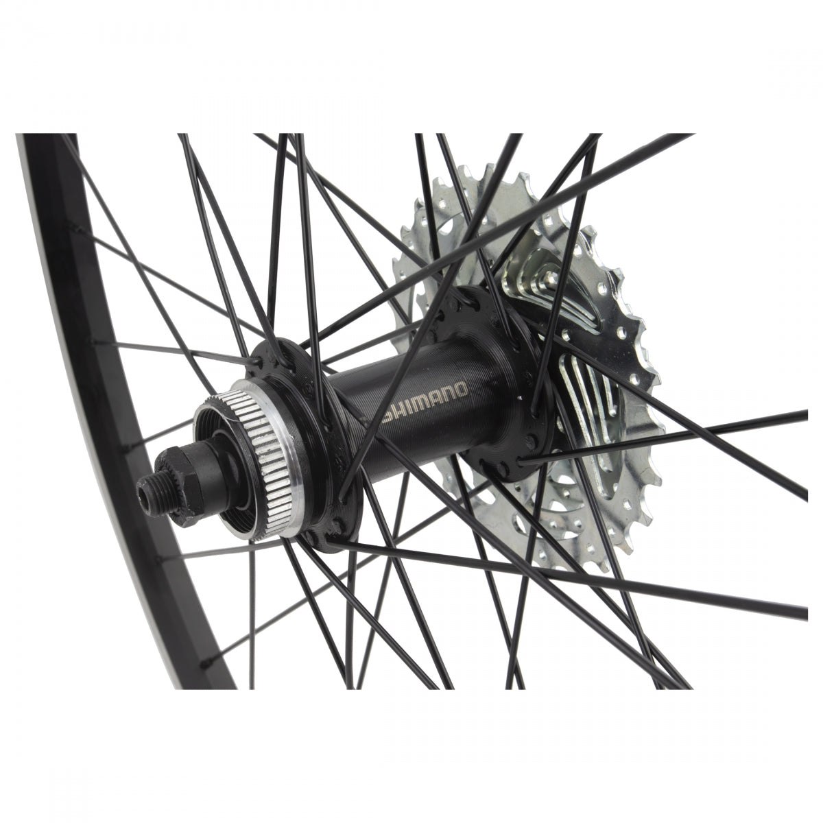 26in Alloy Mountain Rim with Sunrace 7-Speed Cassette – 365 Cycles