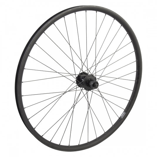 Wheel-Master-29inch-Alloy-Mountain-Disc-Double-Wall-Rear-Wheel-RRWH3689-Bicycle-Rear-Wheel