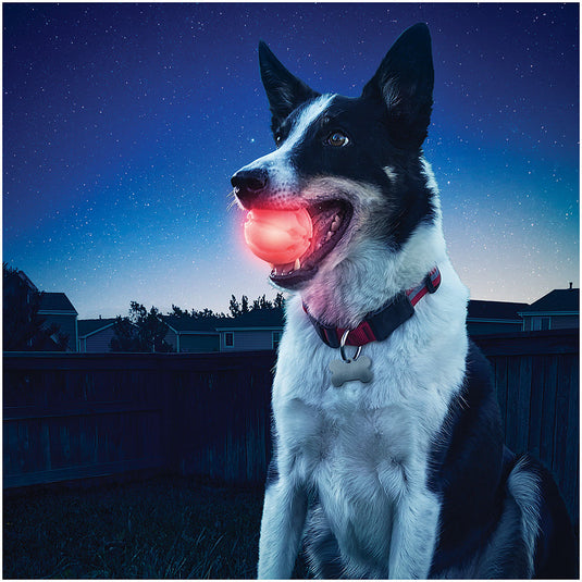 Nite Ize Glowstreak LED Ball - Red Interactive Dog Toy for Nighttime Fun