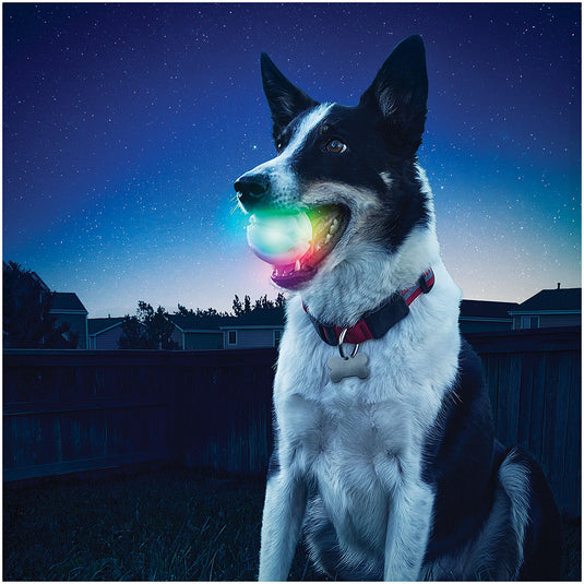 Nite Ize Glowstreak LED Ball - Disc-O Dog Toy for Endless Fun!