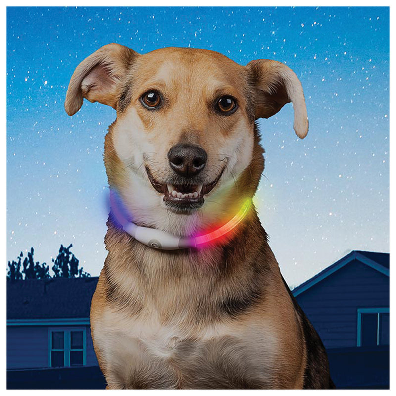 Load image into Gallery viewer, Stay Visible with the Nite Ize Nitehowl Mini Rechargeable LED Safety Collar
