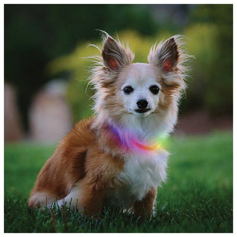Load image into Gallery viewer, Stay Visible with the Nite Ize Nitehowl Mini Rechargeable LED Safety Collar
