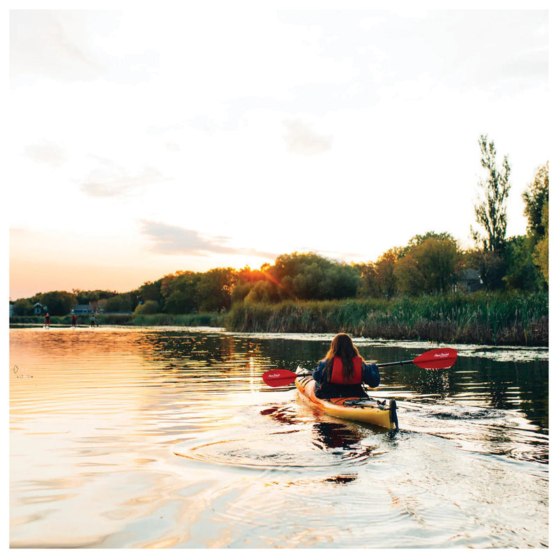 Load image into Gallery viewer, Aqua-bound Manta Ray Fiberglass 2pc 230: Lightweight and Durable Paddle for Smooth Kayaking
