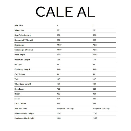 Bombtrack Cale AL Hardtail Bicycle, 29'', Teal, M