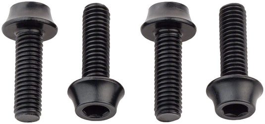 Pack of 2 Wolf Tooth Water Bottle Cage Bolts, M5x15mm, 4 Piece, Aluminum, Black