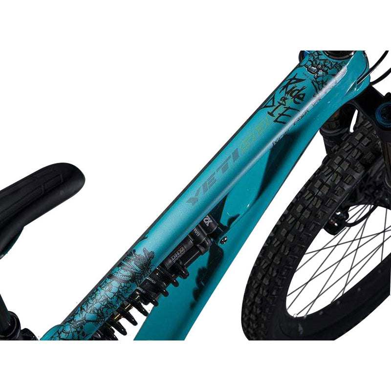 Load image into Gallery viewer, DYEDBRO-Chainstay-Frame-Protection-Mountain-Bike-CSFP0229

