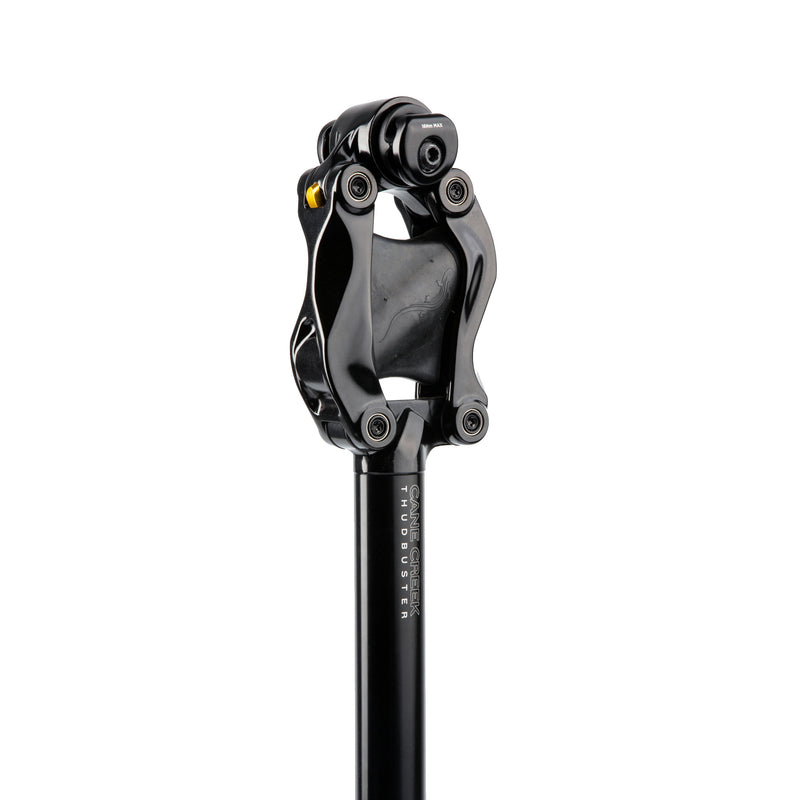 Load image into Gallery viewer, Cane Creek G4 Thudbuster-LT Seatpost, 27.2 x 390mm, SS Clamp
