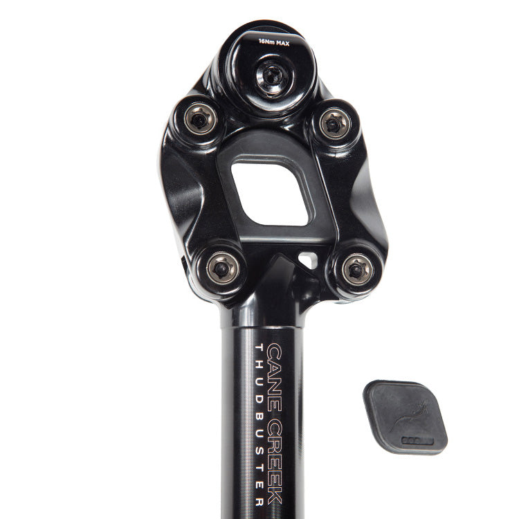 Load image into Gallery viewer, Cane Creek Thudbuster ST G4 Suspension Seatpost, 30.9mm, 375mm, Travel: 50mm, Offset: 0mm
