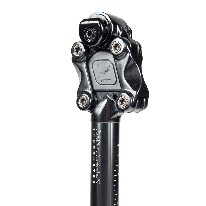 Load image into Gallery viewer, Cane Creek Thudbuster ST G4 Suspension Seatpost, 30.9mm, 375mm, Travel: 50mm, Offset: 0mm
