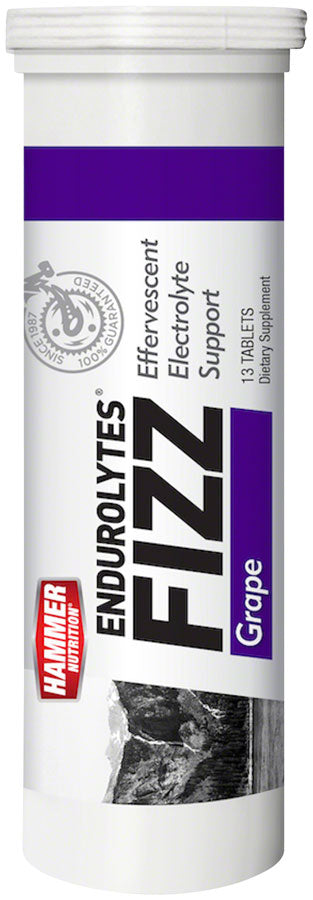 Load image into Gallery viewer, Hammer-Nutrition-Endurolytes-Fizz-Sport-Hydration-Grape_EB4004
