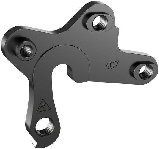 Wheels Manufacturing Derailleur Hanger - 607