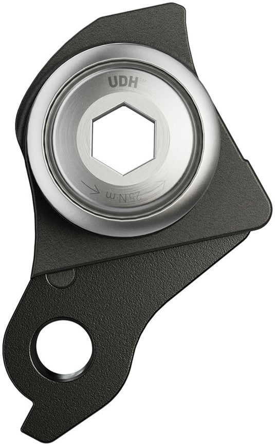 SRAM Universal Derailleur Hanger (UDH) - Aluminum, Black/Silver