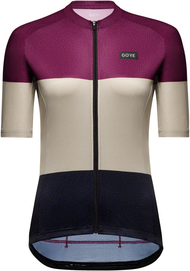 Load image into Gallery viewer, Gorewear Spirit Stripes Jersey - Purple/Beige, Women&#39;s, Small 4/6
