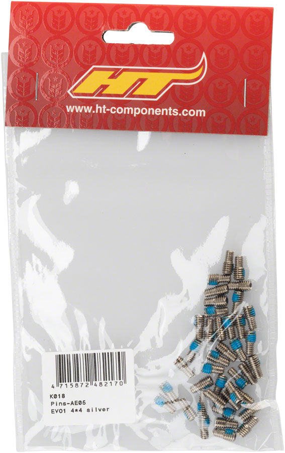Load image into Gallery viewer, HT Components AE05 Pin Kit, Silver
