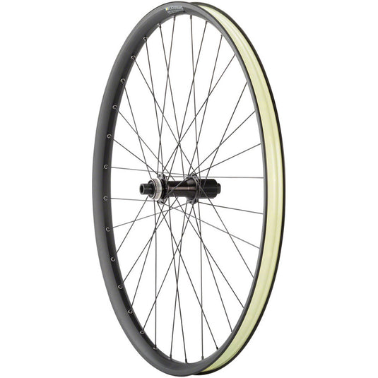 Quality-Wheels-Alex-EM30-Disc-Ebike-Rear-Wheel-Rear-Wheel-29-in-Tubeless-Ready-Clincher_WE4709