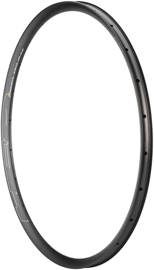 Load image into Gallery viewer, Pack of 2 HED Belgium G Rim - 700, Disc, Black, 24h
